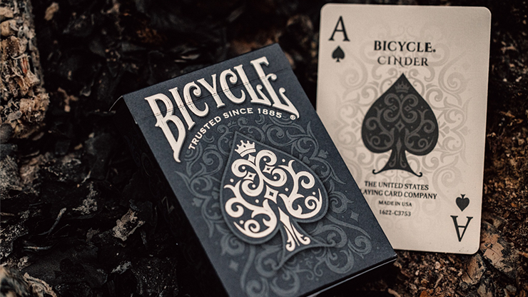 Bicycle: Cinder image 4