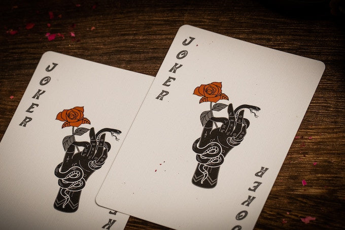 Palmistry (Silver Sable) Playing Cards by Chamber of Wonder image 6
