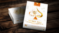 Secret Tale: Ragnar (Collector's Edition) Playing Cards by Dutch Card House image 0