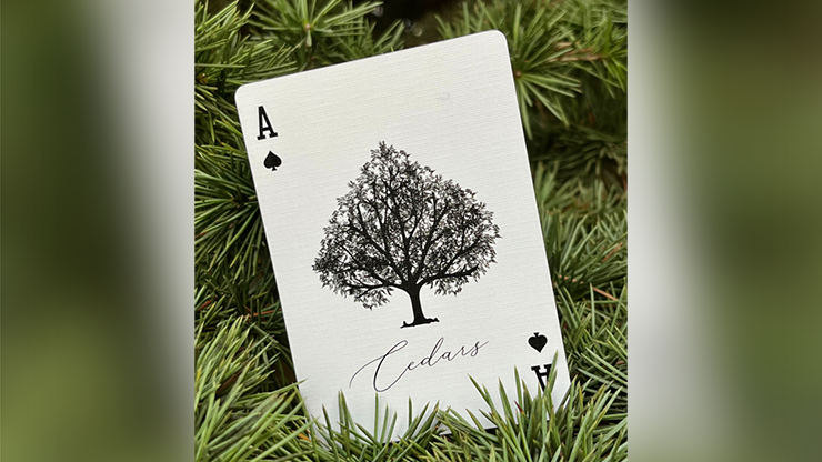 Cedars by Ali Asfour image 3