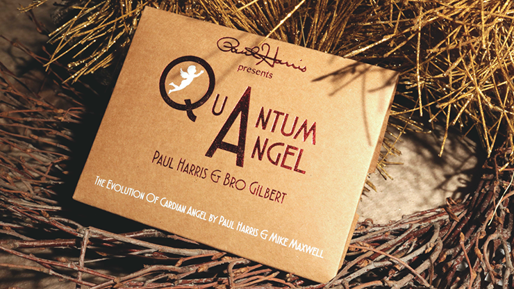 Quantum Angel by Paul Harris image 0