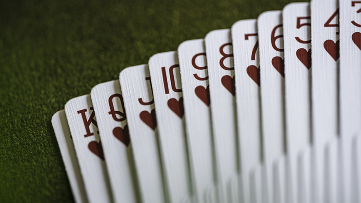 ERDNASE Playing Cards by Hans-Joachim Brucherseifer image 3