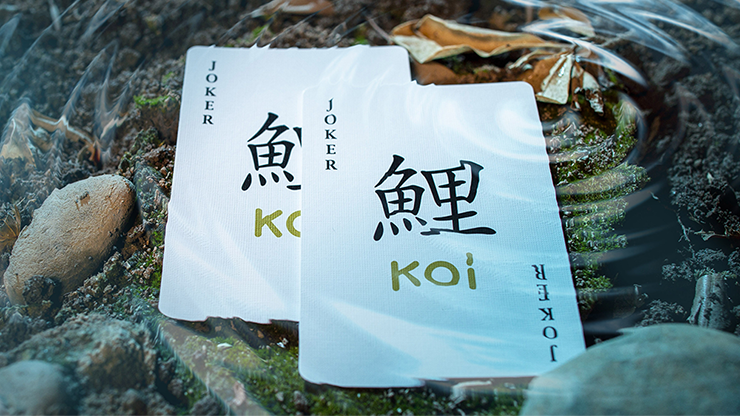 Koi V2 by Byron Leung image 3
