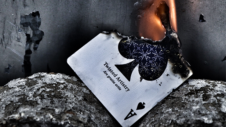 Twisted Artistry Playing Cards by Terry Ady image 3