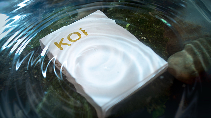 Koi V2 by Byron Leung image 0
