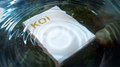 Koi V2 by Byron Leung image 0