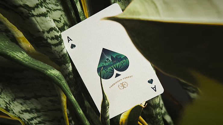 Forbidden Forest Playing Cards by Humble Raja image 3
