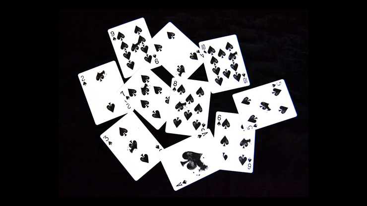 Shadows image 2
