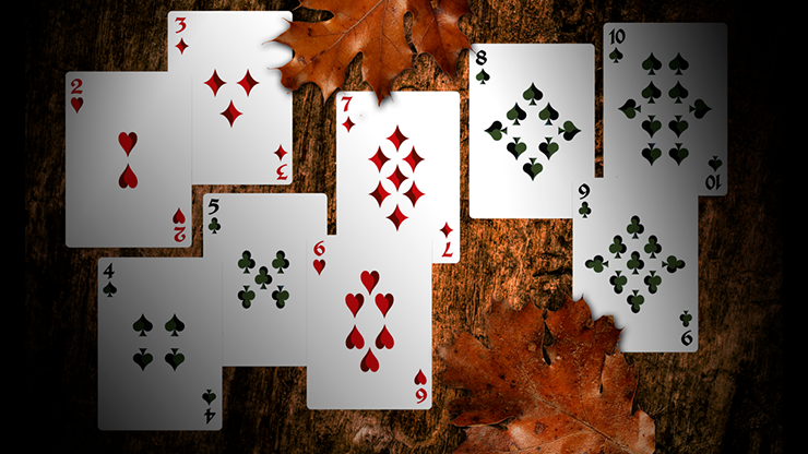 Secret Tale: Robin Hood (Black Owl) by Dutch Card House image 5