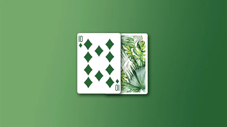 Monstera (Green) by TCC image 1