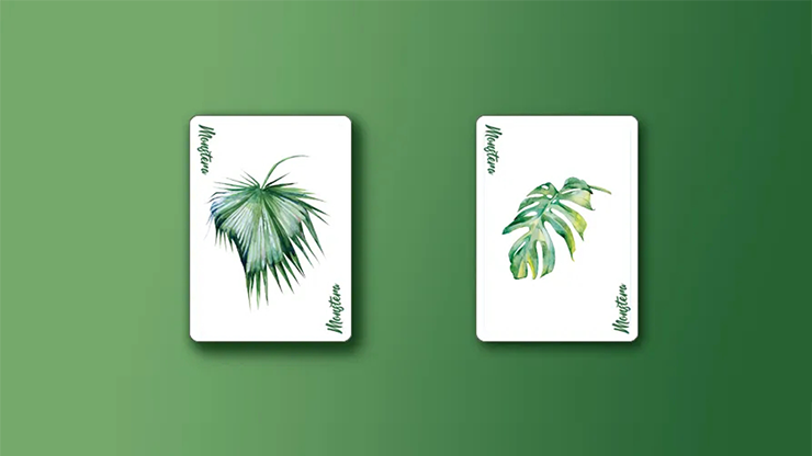 Monstera (Green) by TCC image 3