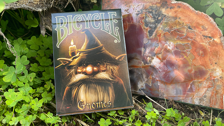 Bicycle: Gnomes image 2