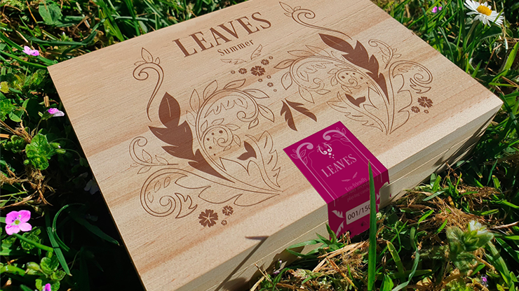 Leaves (Summer) Collector's Set by Dutch Card House image 0