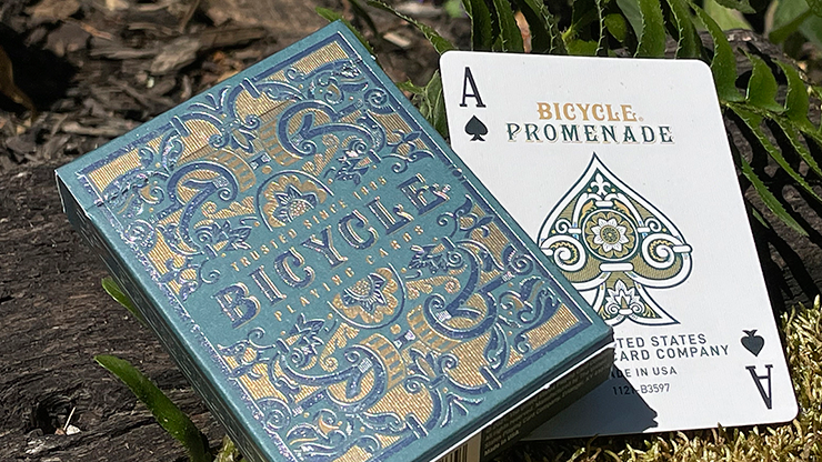 Bicycle: Promenade image 5