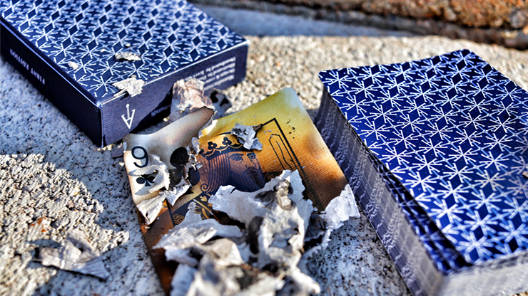 Twisted Artistry Playing Cards by Terry Ady image 1