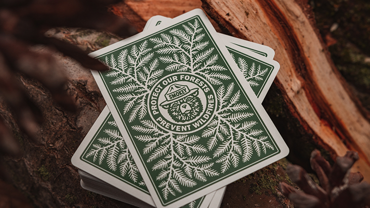 Smokey Bear by Art of Play image 1