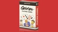 Calder Playing Cards by Art of Play image 0