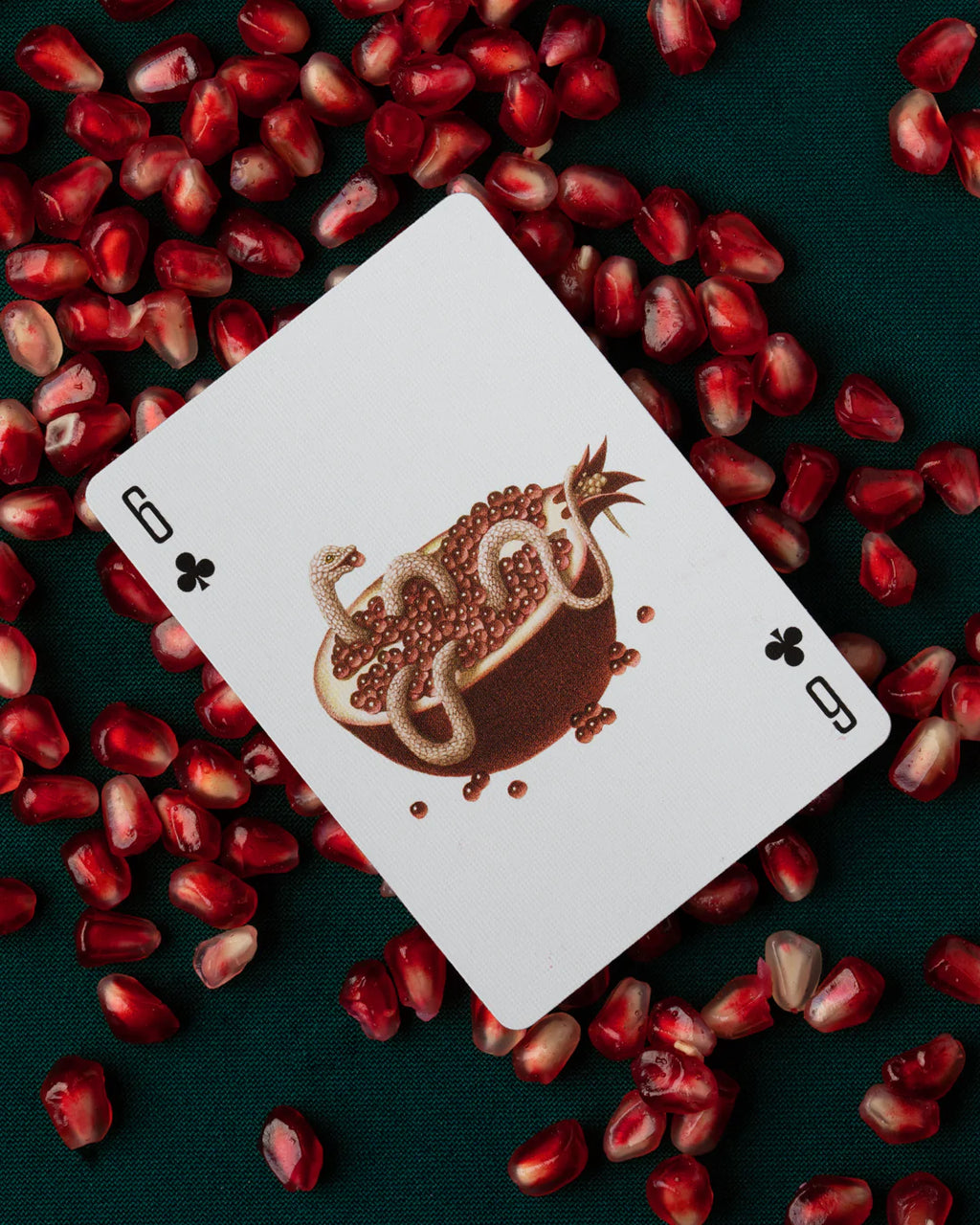 Cabinetarium Playing Cards by Art of Play image 4
