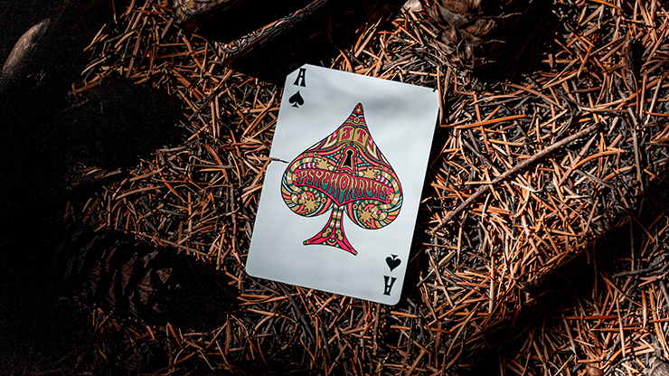 Psychonauts (Pink) Playing Cards by Joker & The Thief image 3