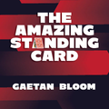 The Amazing Standing Card by Gaetan Bloom image 0
