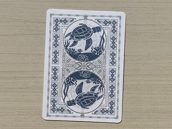 Bicycle: Turtle (Sea) image 1