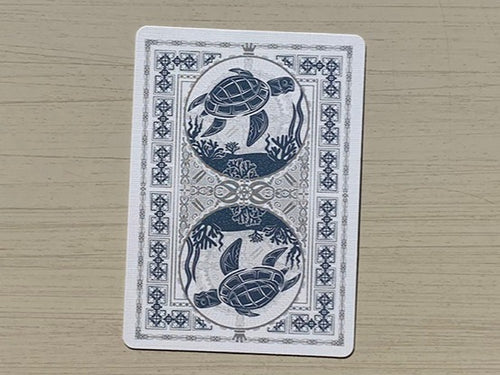 Bicycle: Turtle (Sea) image 1