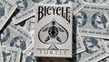 Bicycle: Turtle (Sea) image 0