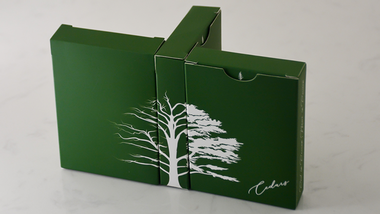 Cedars by Ali Asfour image 0